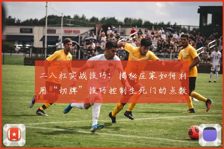 二八杠实战技巧：揭秘庄家如何利用“切牌”技巧控制生死门的点数分布。（二八杠进阶攻略：庄家如何用切牌术掌控生死门点数分布）