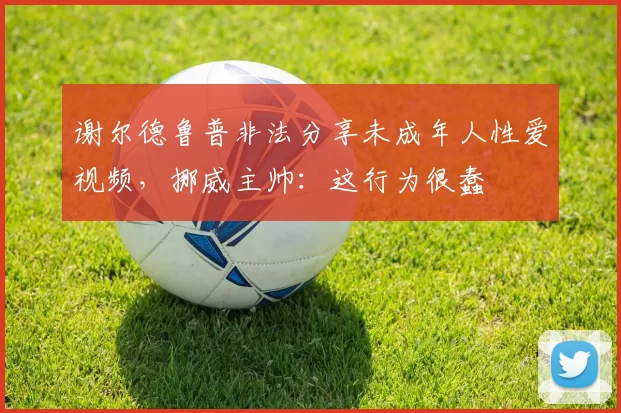 谢尔德鲁普非法分享未成年人性爱视频，挪威主帅：这行为很蠢