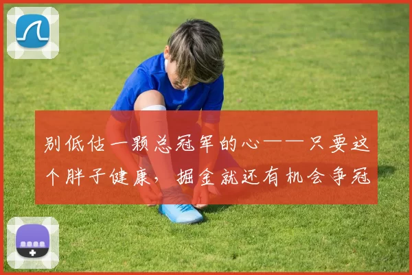 别低估一颗总冠军的心——只要这个胖子健康，掘金就还有机会争冠