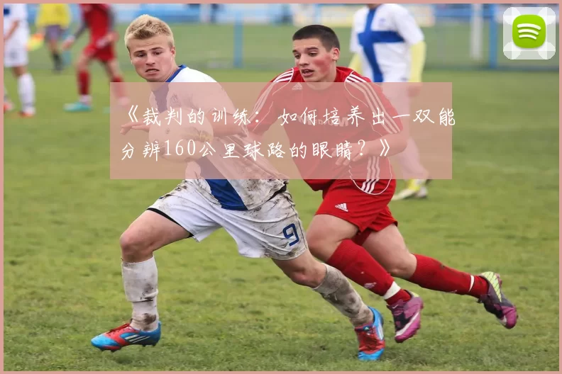 《裁判的训练：如何培养出一双能分辨160公里球路的眼睛？》
