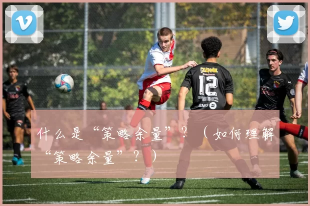什么是“策略余量”？（如何理解“策略余量”？）